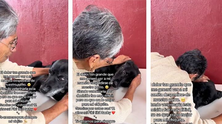 Así se despidió abuelita de su perro anciano antes de que lo durmieran para siempre | VIDEO