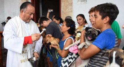 Día de San Francisco de Asís: lleva a tus mascotas a bendecir a la Iglesia