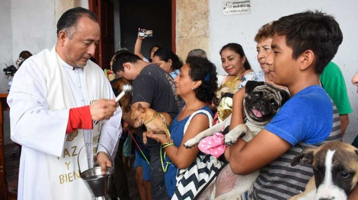 Día de San Francisco de Asís: lleva a tus mascotas a bendecir a la Iglesia