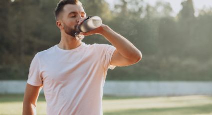 Estas son las tres bebidas más saludables, según la universidad Harvard