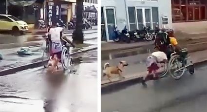 ¿Cuál frío y lluvia? Niño y su perro empujan a su papá en silla de ruedas en pleno bulevar | VIDEO