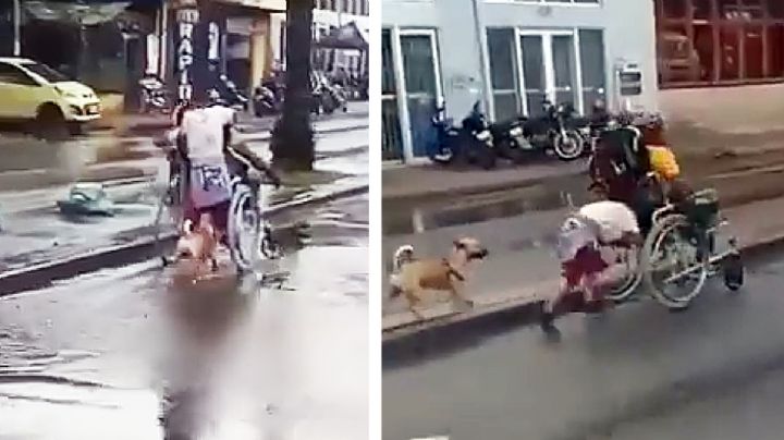 ¿Cuál frío y lluvia? Niño y su perro empujan a su papá en silla de ruedas en pleno bulevar | VIDEO