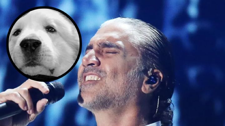 Luto, Alejandro Fernández se despide de su perro Luka con emotivo mensaje