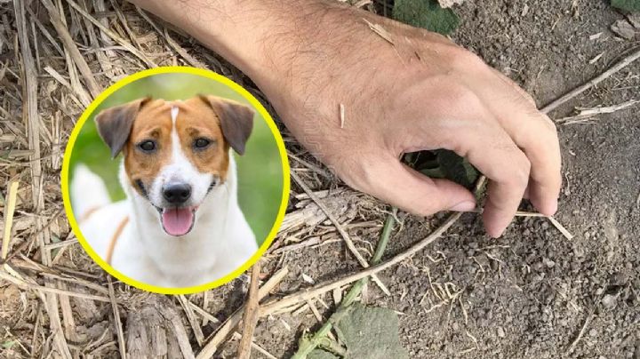 Senderista perdido es hallado sin vida, su perro nunca lo abandonó