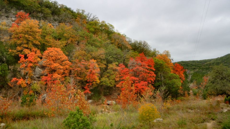 Lost Maples es un paraíso otoñal en Texas