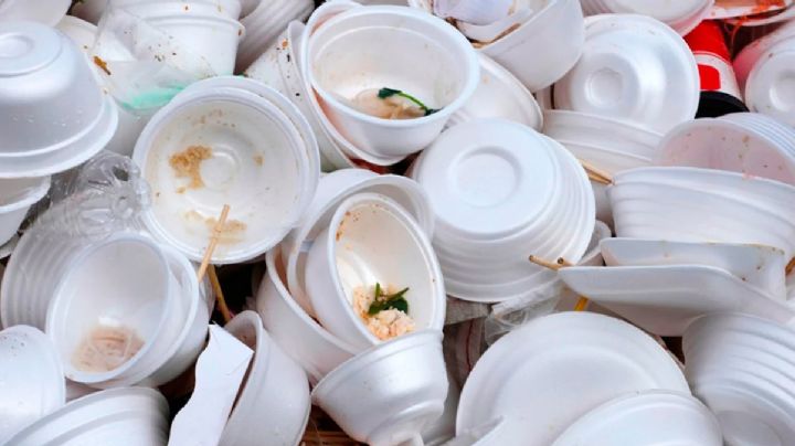 Envases de unicel: ¿Qué terribles enfermedades podrías desarrollar por su uso prolongado?