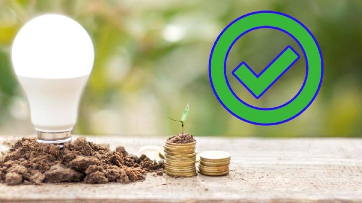 Profeco: estas son las mejores marcas de focos ahorradores