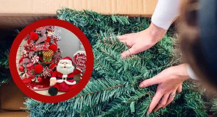 ¿Cuándo se debe poner el Árbol de Navidad?; esta es la tradición