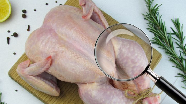 Pollo blanco o amarillo, ¿cuál es más saluble para el consumo? Esto revela la ciencia
