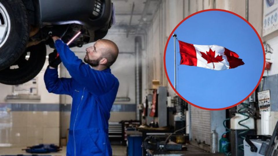 Este es el empleo que puedes obtener en Canadá