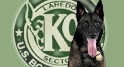 Se pierde agente canino de la Patrulla Fronteriza en Laredo; piden ayuda para hallarlo