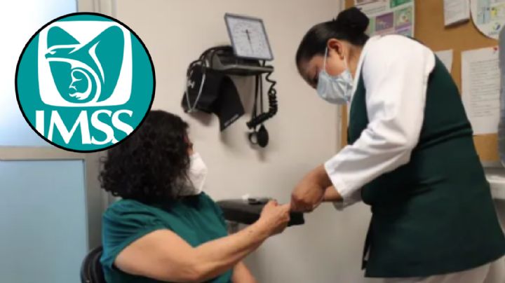 ¿Si soy derechohabiente a quién puedo registrar en el IMSS?  Aquí te decimos