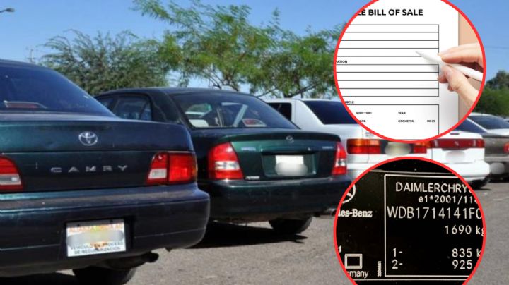 Autos 'chocolate': estas personas podrían tener gratuito este trámite; aquí te contamos