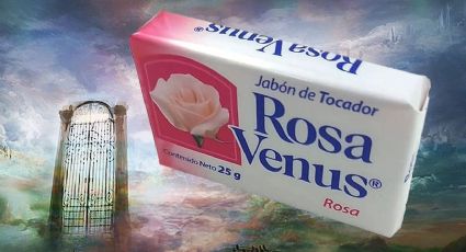 Jabón Rosa Venus; conoce las ventajas de bañarte con él y cómo ayuda a tu salud