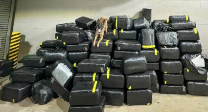 Perro policía detecta 3 mil 600 libras de marihuana en el área de Laredo, Texas