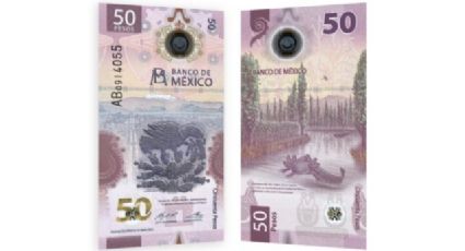 Este es el tiempo de vida del billete de 50 pesos con el ajolote