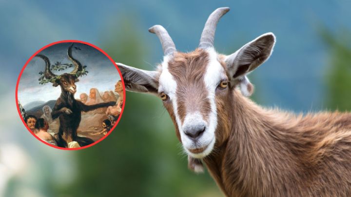 ¿Por qué las cabras son asociadas a lo satánico y lo oscuro? ¿Son enviados del mal?
