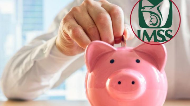 IMSS Modalidad 40:¿Puede realizarse en un solo pago?