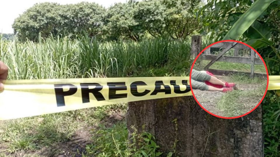 Hallan cuerpos sin cabeza en Veracruz
