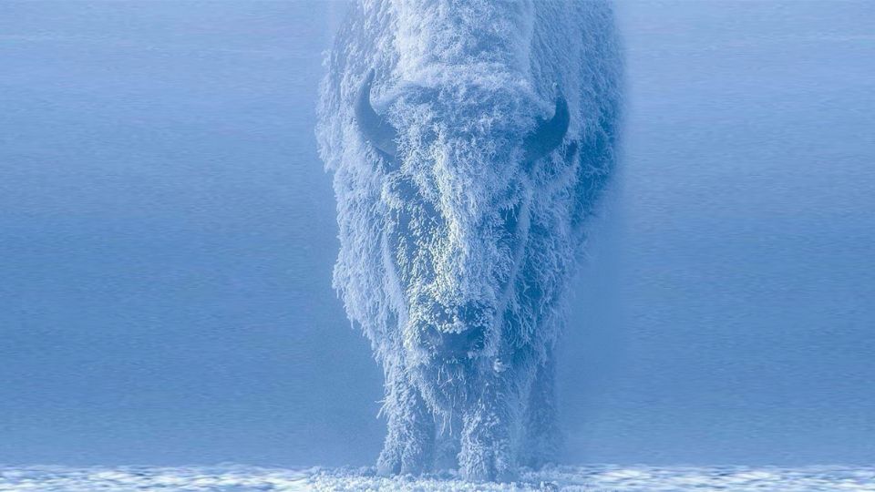 Nevadas en Yellowstone