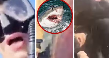 Hombre graba los escalofriantes momentos después de ser atacado por un tiburón I VIDEO