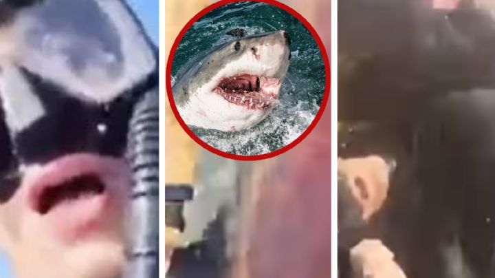 Hombre graba los escalofriantes momentos después de ser atacado por un tiburón I VIDEO