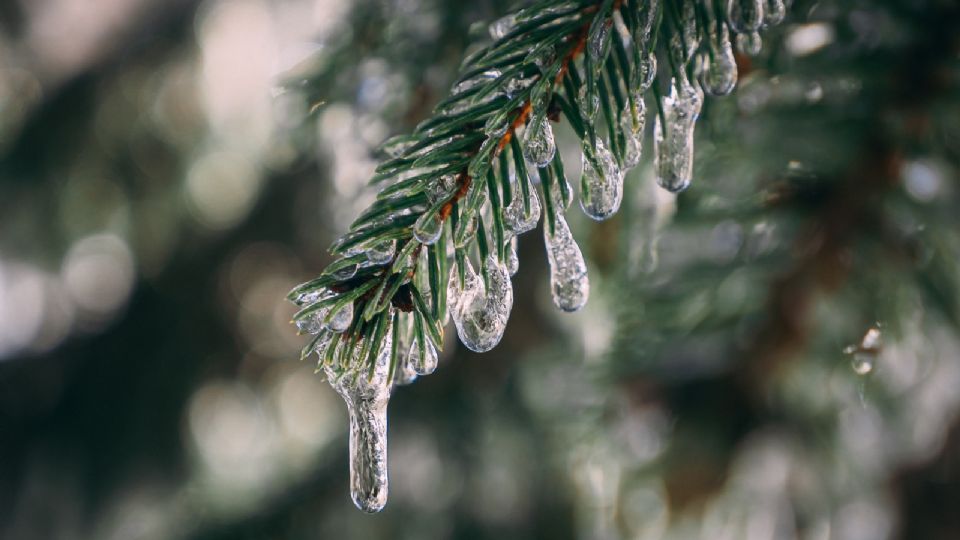 Conoce el pronóstico del clima de Texas en Navidad