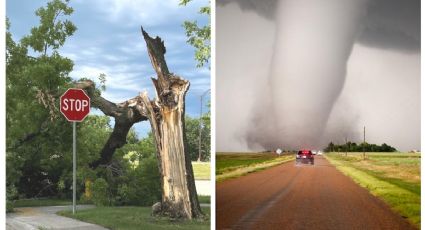 Tornado arrastra a bebé y lo hallan vivo en un árbol caído