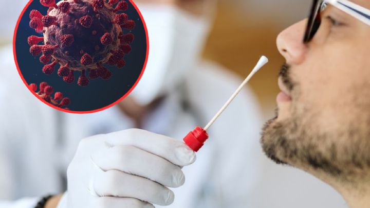 Covid 19: Confirman primer caso de variante Pirola en México