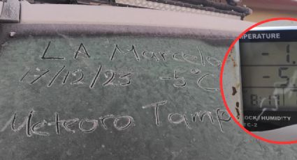 Intensas heladas en Tamaulipas, este municipio llegó a los -5 grados centígrados