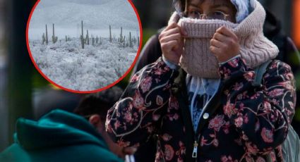 Clima: Habrá heladas de -10 grados en Nochebuena y Navidad en estos estados de México