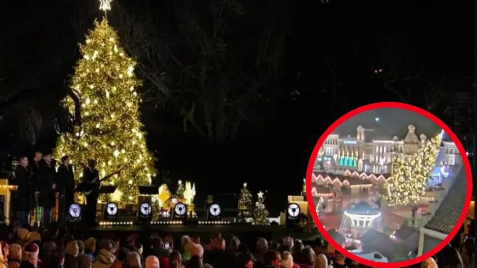 Los fuertes vientos de invierno vencieron la base del monumental árbol de Navidad, causando la trágica muerte de la mujer mayor