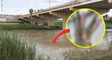 Nuevo Laredo: pescan catán gigante de dos cabezas en el río Bravo