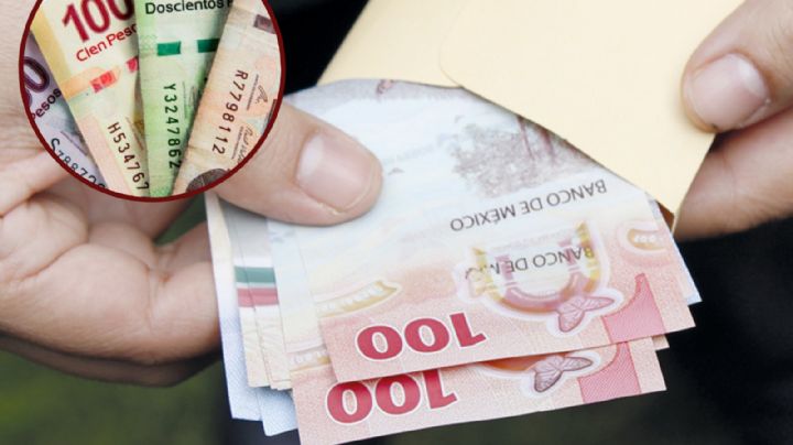 ¿Cuánto es lo que debo de ganar este 2024 según mi profesión?