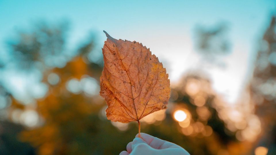 Aumentará temperatura en Texas