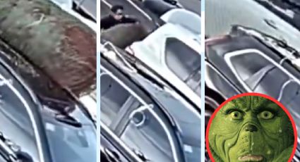 Conductor 'Grinch' roba árbol de Navidad de camioneta en estacionamiento I VIDEO