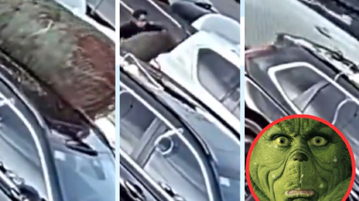 Conductor 'Grinch' roba árbol de Navidad de camioneta en estacionamiento I VIDEO