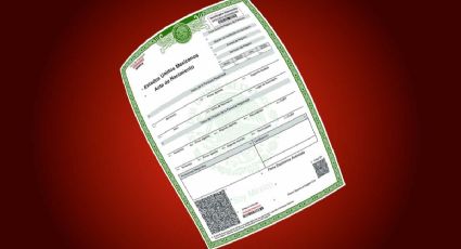 Registro civil de Tamaulipas: estos son los trámites gratuitos