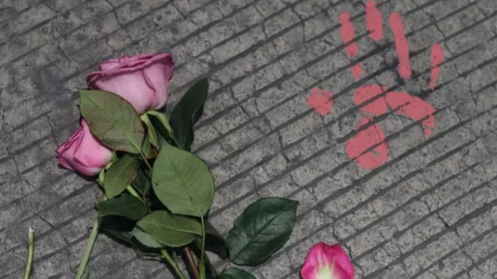 Joven denunció a su exnovio por agresión, no le hicieron caso y éste la asesinó