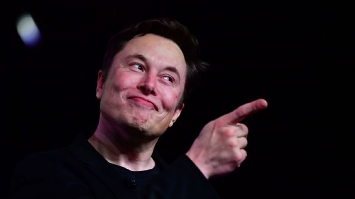 Elon Musk se enoja y despide a ingeniero de Twitter por decirle que ya no es popular