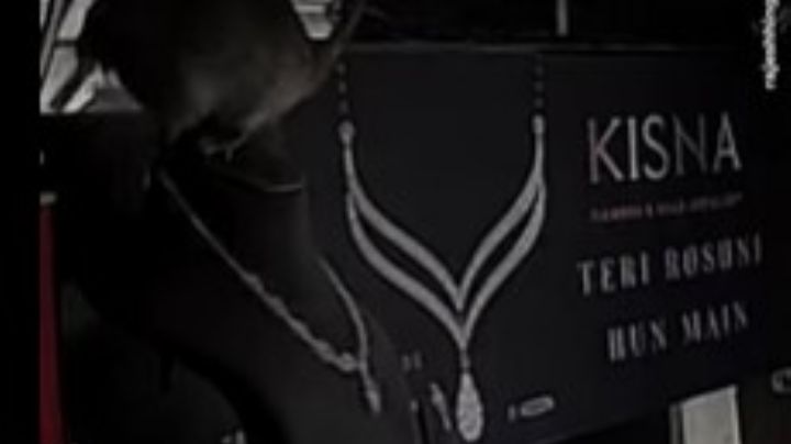 Rata roba collar de diamantes en una joyería | VIDEO