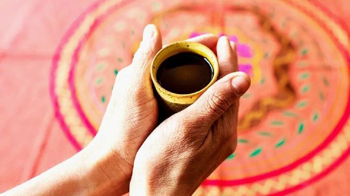 Ayahuasca: ¿qué efectos causa la bebida ancestral? ¿Es legal en México?