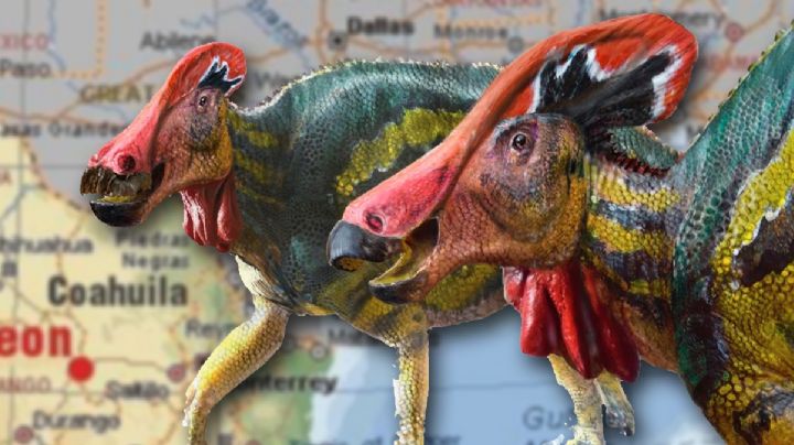 Dinosaurios que hablaban habitaron Coahuila hace 73 millones de años