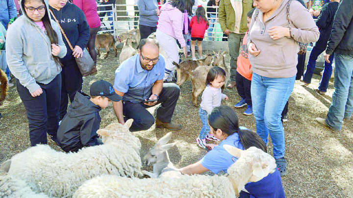 Realiza Colegio de Laredo festival para las familias