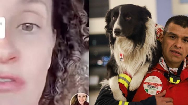 Argentina llama 'ególatras' a mexicanos por perritos rescastistas | VIDEO