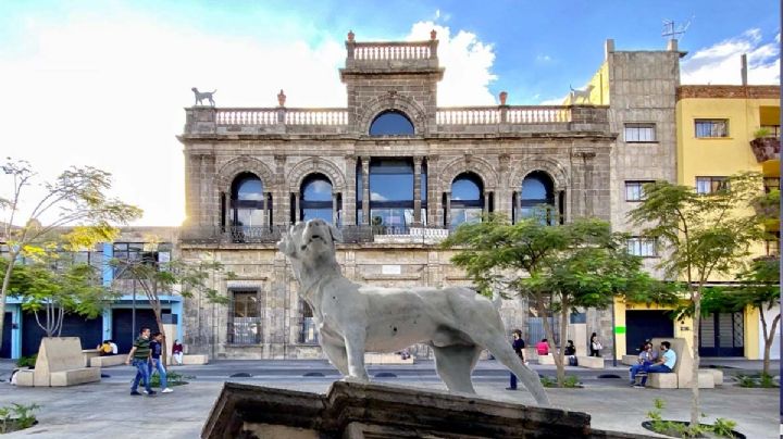 'La casa de los perros': lugar que regalaban en Guadalajara | VIDEO