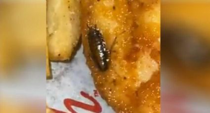 Mujer encuentra una cucaracha viva en su comida en un restaurante; denuncia es viral