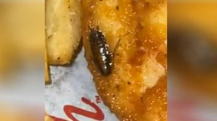 Mujer encuentra una cucaracha viva en su comida en un restaurante; denuncia es viral