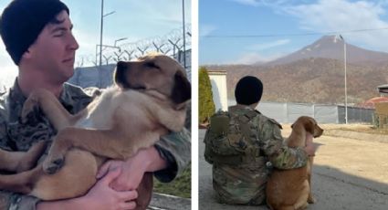 Soldado estadunidense se reúne con perrito que rescató en el extranjero para adoptarlo