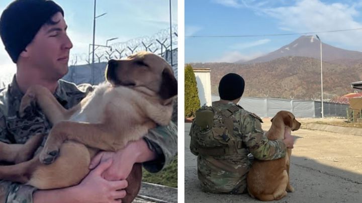 Soldado estadunidense se reúne con perrito que rescató en el extranjero para adoptarlo
